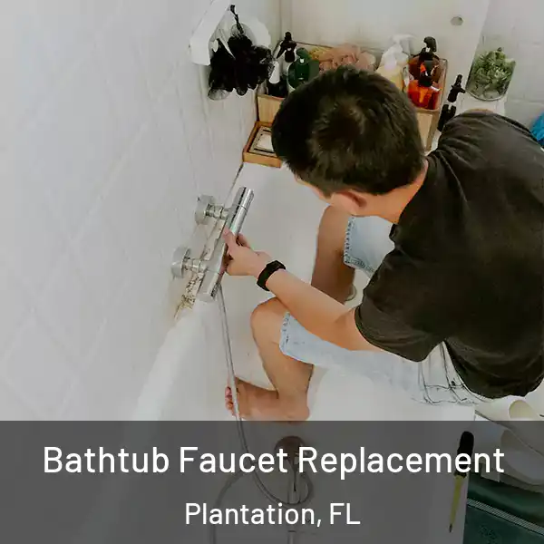  Bathtub Faucet Replacement Plantation, FL