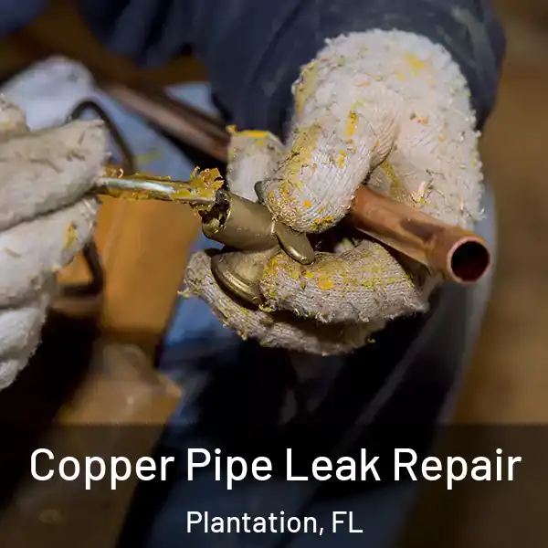  Copper Pipe Leak Repair Plantation, FL