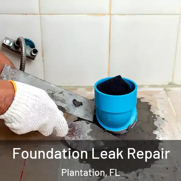  Foundation Leak Repair Plantation, FL