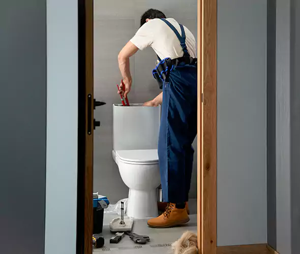 Professional Plumbers for Toilet Bowl Replacement in Plantation, FL: Schedule Affordable Toilet Replacement Services With Us