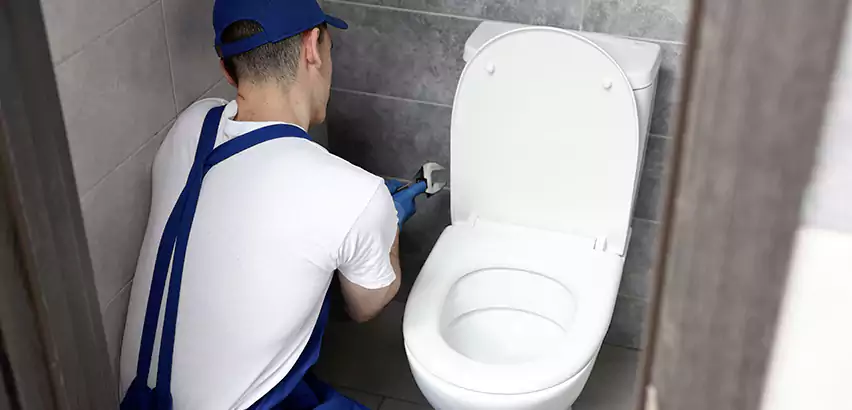 Toilet Lid Replacement in Plantation