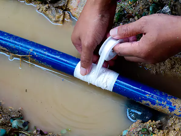  Why Choose Plantation Plumbing Pro for Leak Detection in Plantation, FL?]