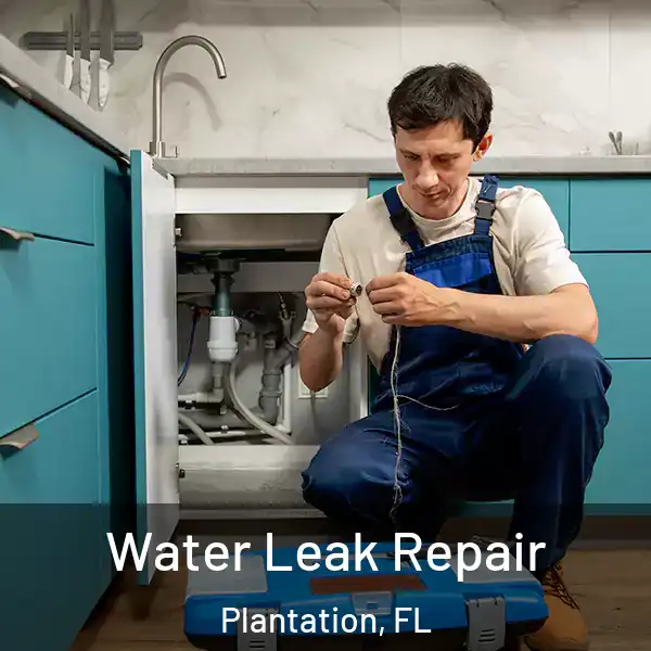  Water Leak Repair Plantation, FL